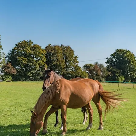 Casa de férias Cavallo Barn By Bloom