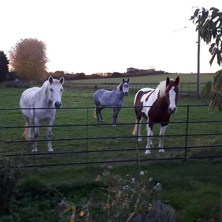 Holiday home Wonderful Rural Dwelling- Relax Or Explore Kent!