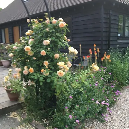 Little Orchard Holiday home Canterbury