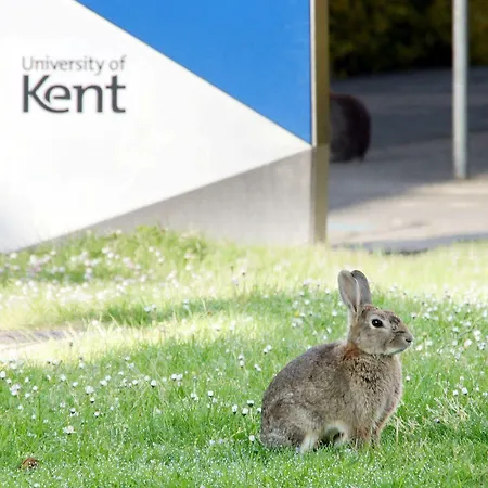 Turing College -university Of Kent Hotel Canterbury